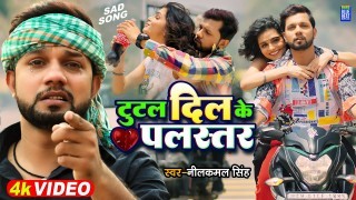 Tutal Dil Ke Palastar Video Song Download Neelkamal Singh