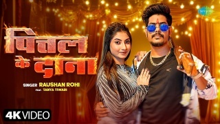 Pittal Ke Dana Video Song Download Raushan Rohi